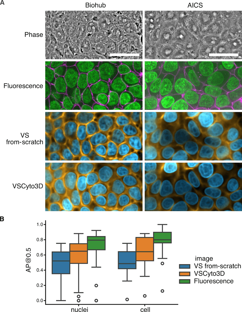 Cytoland | 2025-03 | Virtual Cells Platform