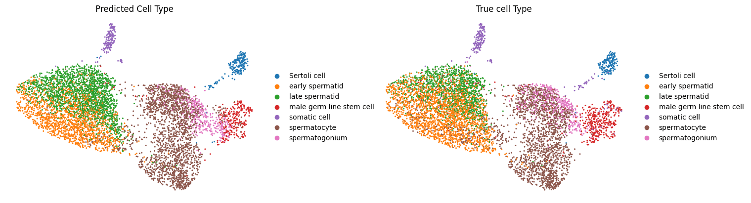 UMAP plot of predicted cell types