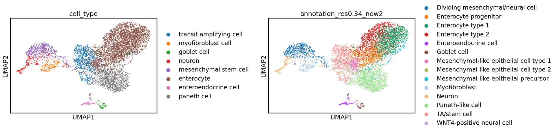 UMAP plot colored by cell type and annotation