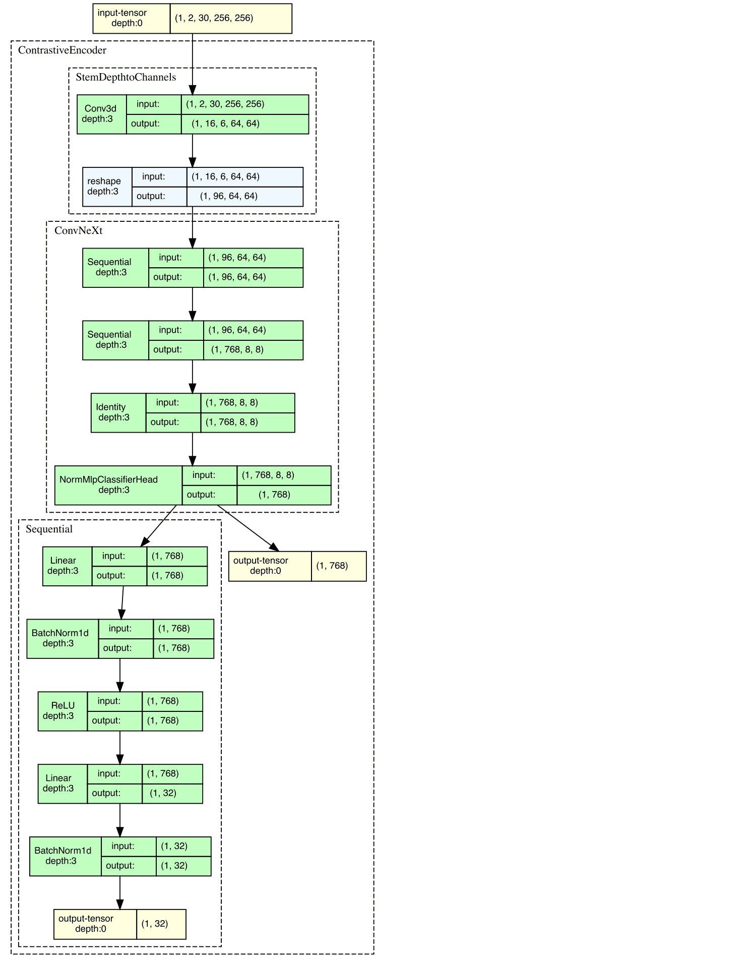 DynaCLR model architecture graph