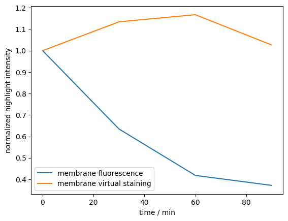 Line plot of highlight intensity over time for membrane fluorescence and membrane virtual staining