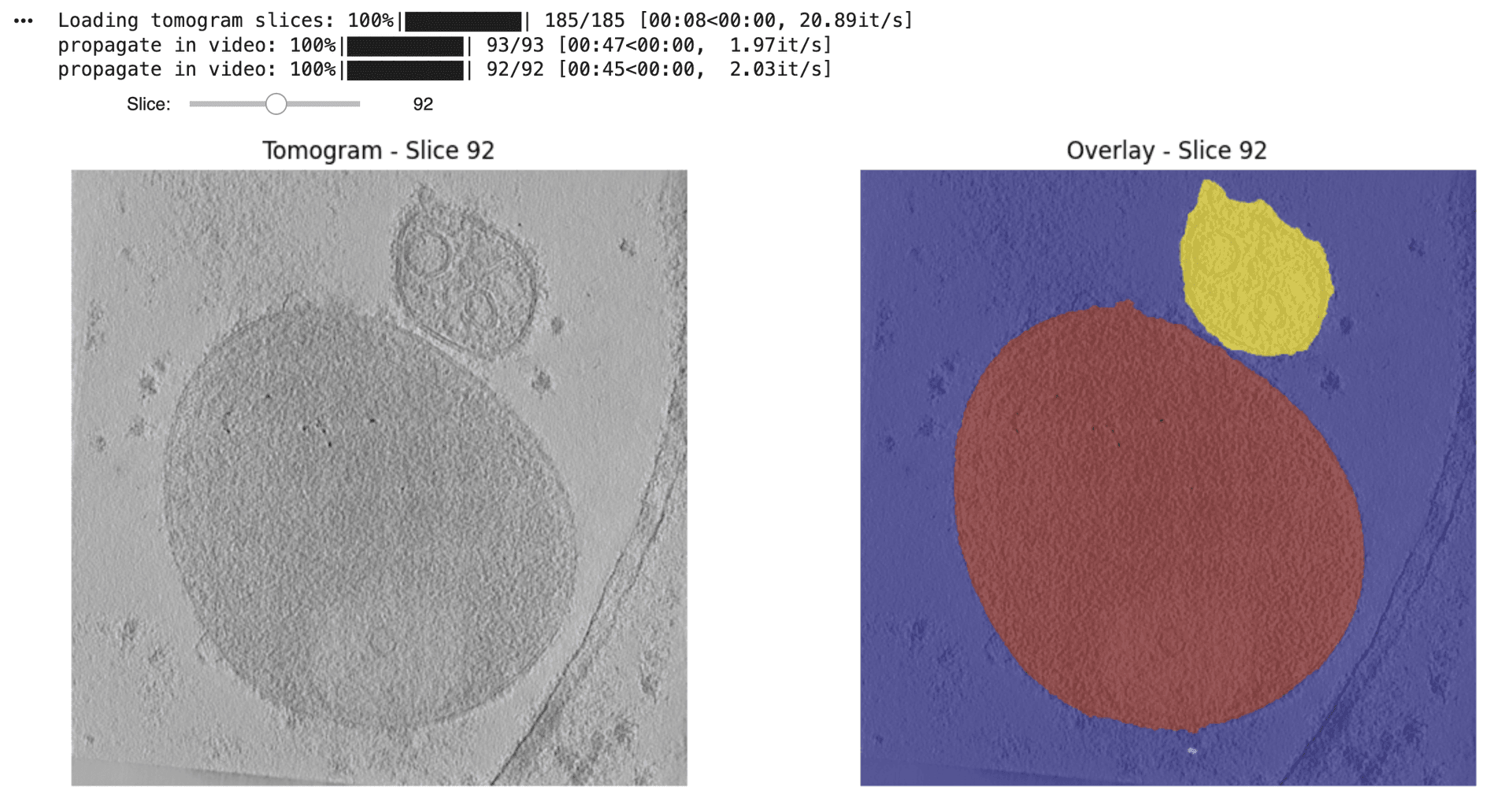 SABER 3D tomogram segmentation output