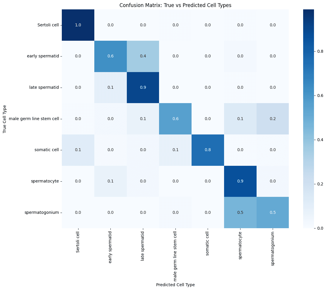 Confusion matrix of predicted vs true cell types