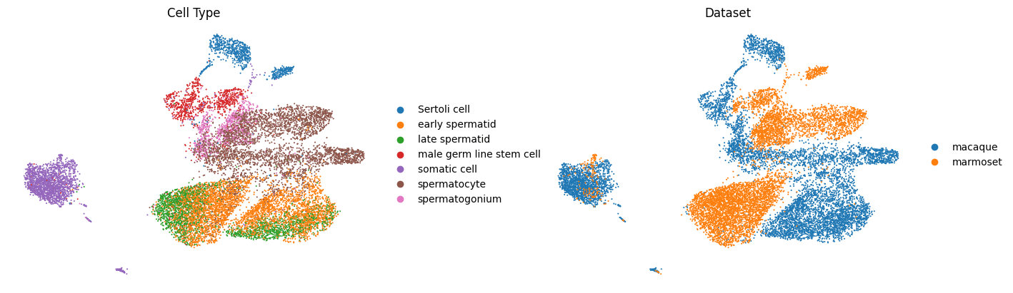 UMAP plot of embeddings from both datasets