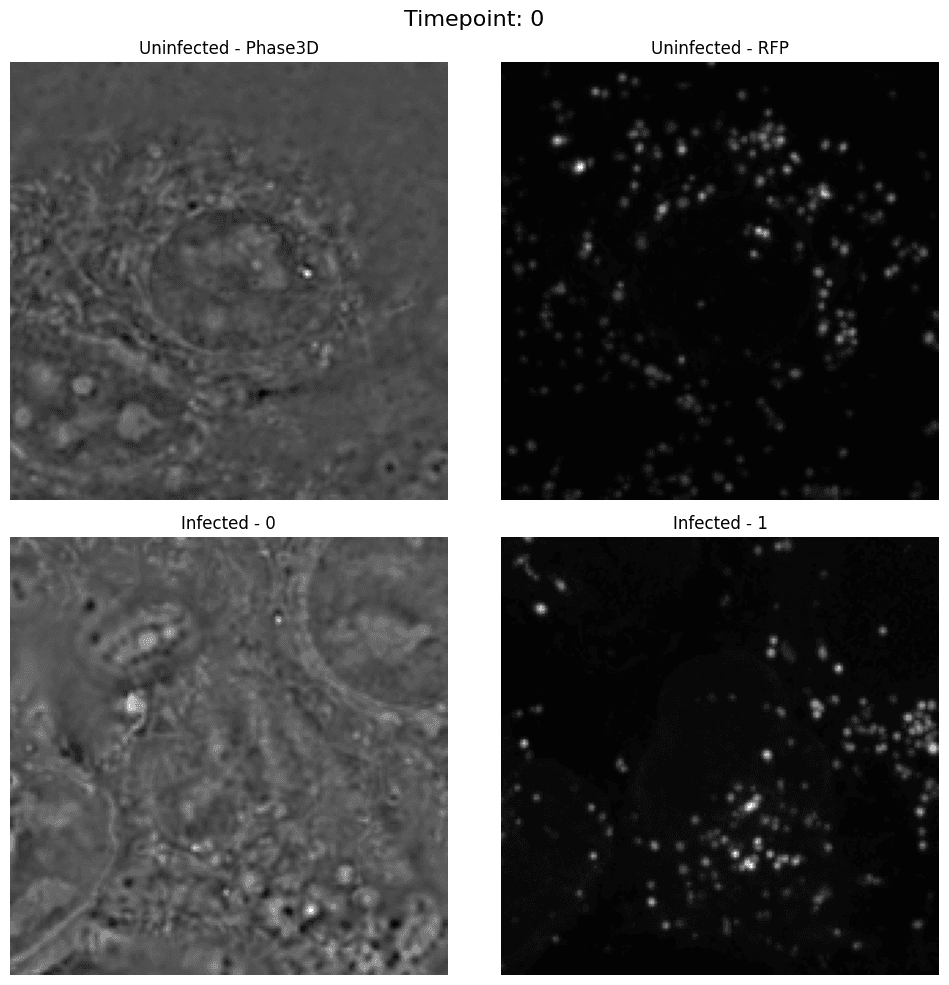 Uninfected Cell Over Time, Step 0
