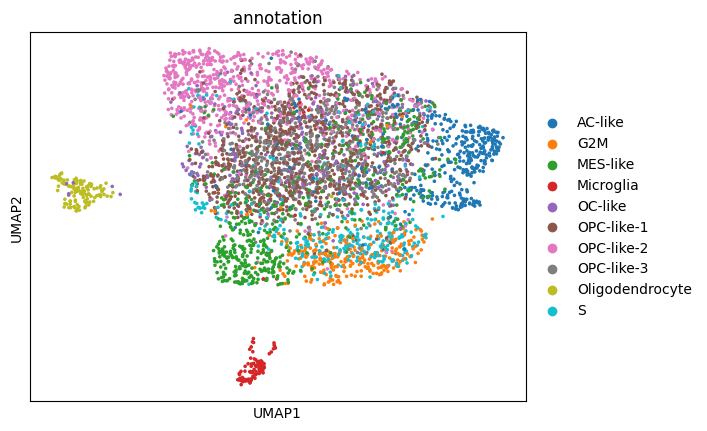 UMAP visualization output