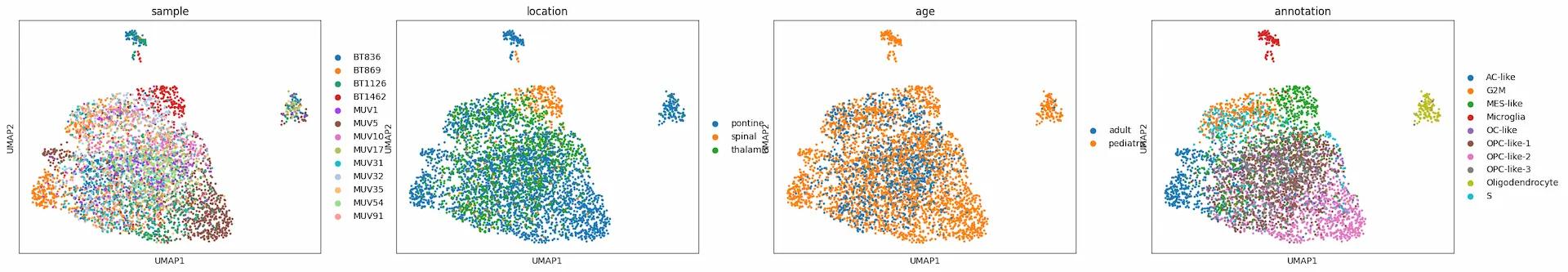 UMAP visualization of scVI embeddings