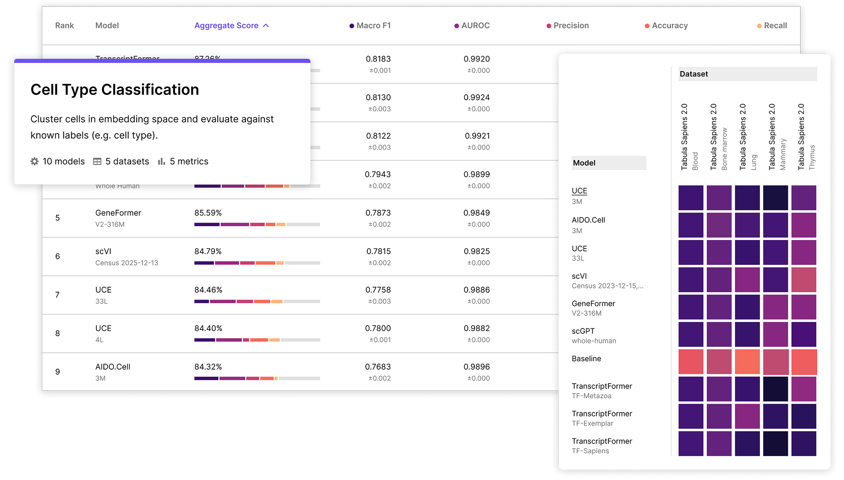 Model ranking table with cell type classification scores and heatmap comparing performance across datasets and metrics.