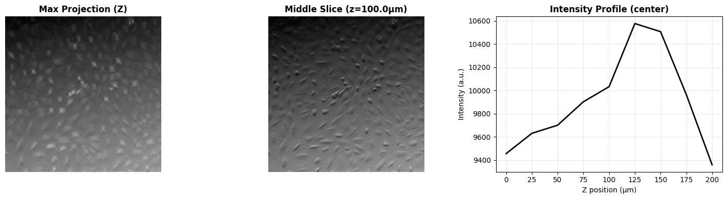 Raw data visualization